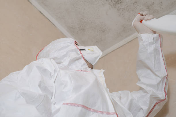 Parker, SC Mold Remediation Company